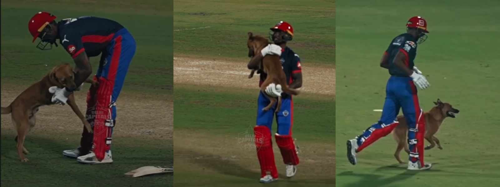 ක්‍රිකට් පිටිය මැදට ආපු බව්වාට ලැබුණු ආදරය